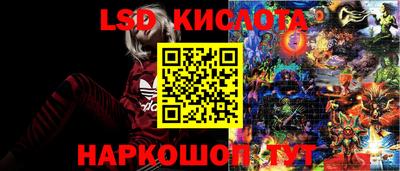 бошки Сланцы