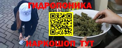 бошки Сланцы